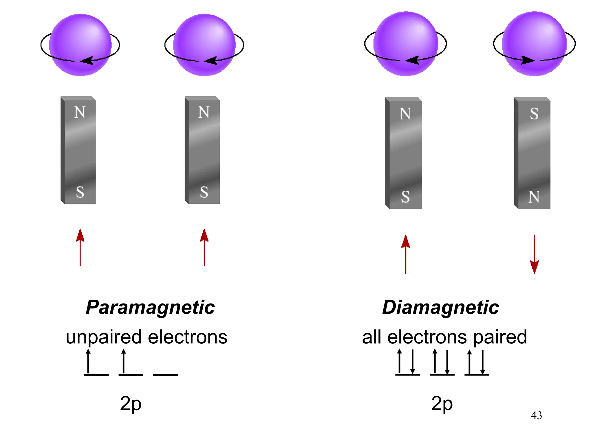 43
Paramagnetic
unpaired electrons
2p
Diamagnetic
all electrons paired
2p
 