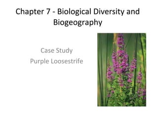 Chapter 7 - Biological Diversity and Biogeography Case Study Purple Loosestrife 