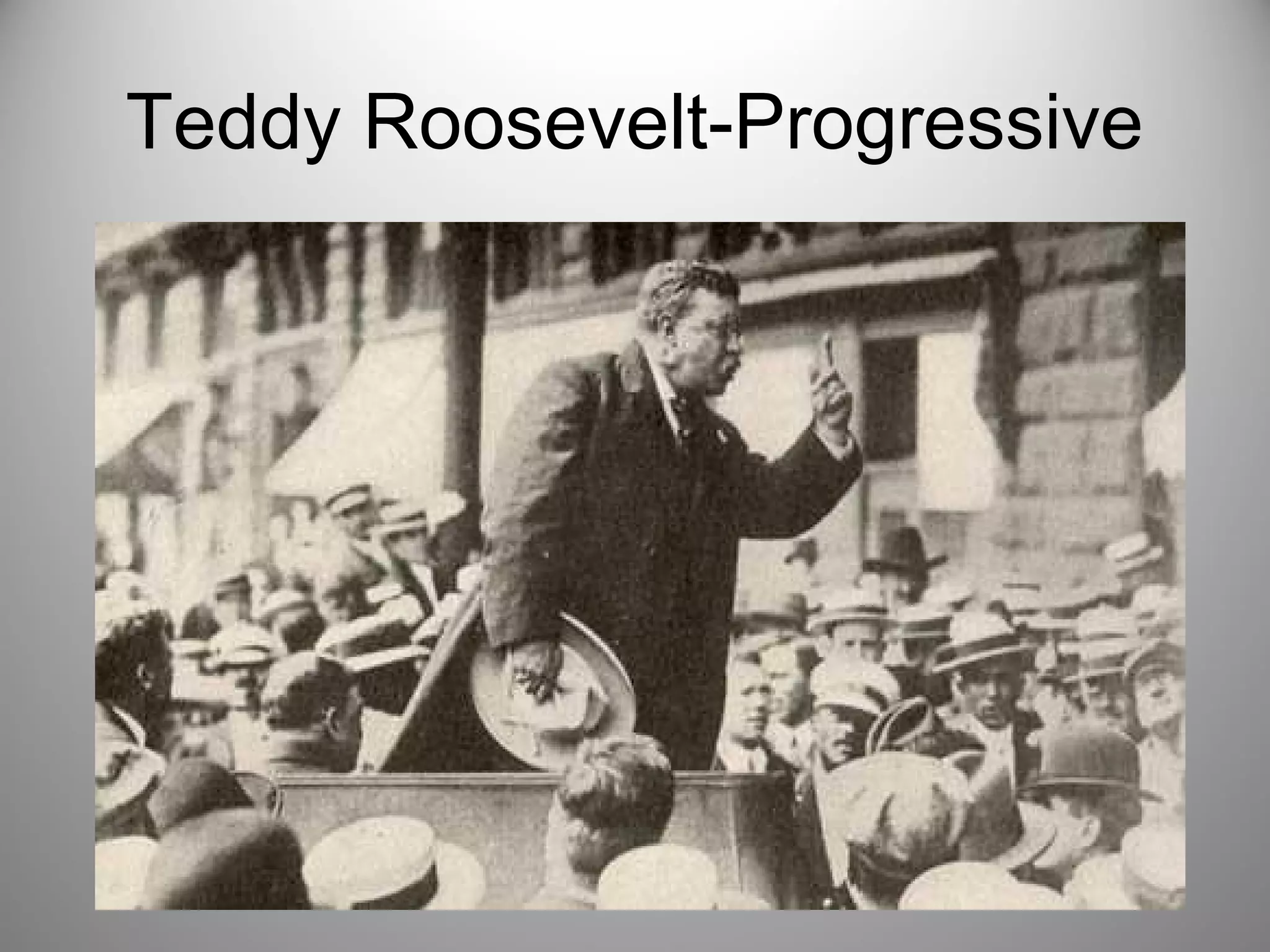 Teddy Roosevelt-Progressive 
 