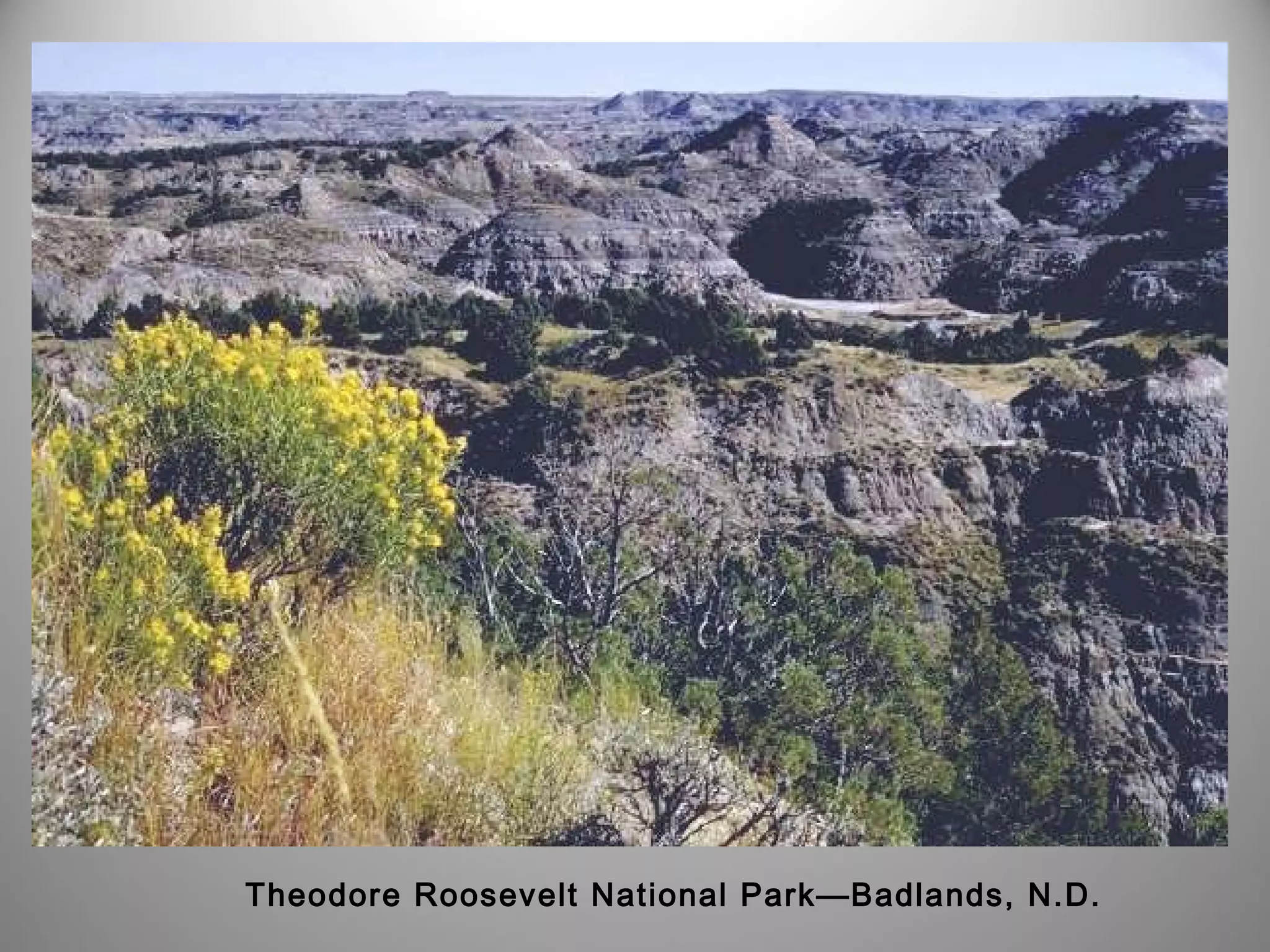 Theodore Roosevelt National Park—Badlands, N.D. 
 