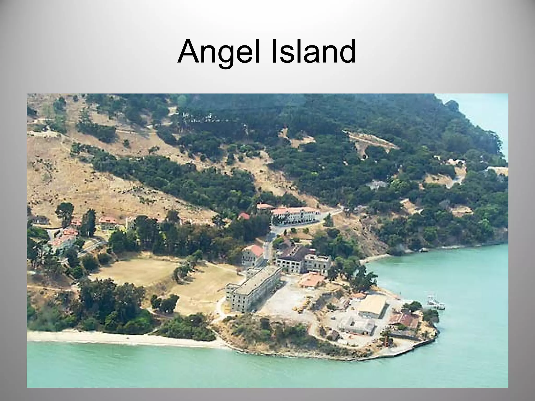 Angel Island 
 