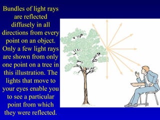 Bundles of light rays
are reflected
diffusely in all
directions from every
point on an object.
Only a few light rays
are shown from only
one point on a tree in
this illustration. The
lights that move to
your eyes enable you
to see a particular
point from which
they were reflected.
 