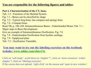 Skeletal Inventory Table Examples Ch7 Ppt Lect | PPT