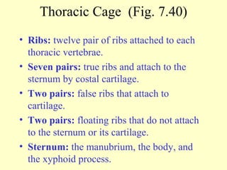 Ch7 Ppt Lect | PPT