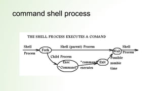 command shell process
 