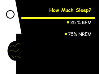 How Much Sleep? 25 % REM 75% NREM 