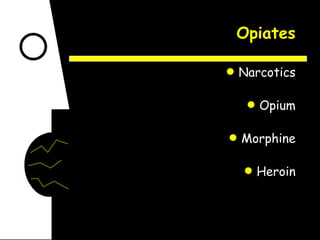 Opiates Narcotics Opium Morphine Heroin 
