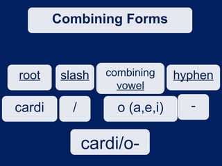 Ch 7 Anatomy, Physiology, & Med Terminology.ppt