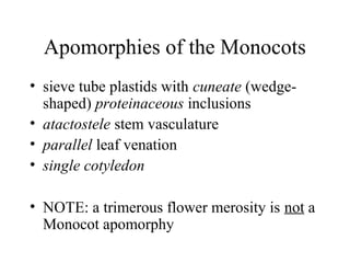 Ch7b (Botany Lecture) | PPT
