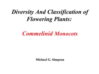 Diversity And Classification of
Flowering Plants:
Commelinid Monocots
Michael G. Simpson
 