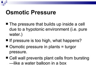Osmotic Pressure
 The pressure that builds up inside a cell
  due to a hypotonic environment (i.e. pure
  water.)
 If pressure is too high, what happens?
 Osmotic pressure in plants = turgor
  pressure.
 Cell wall prevents plant cells from bursting
  —like a water balloon in a box
 