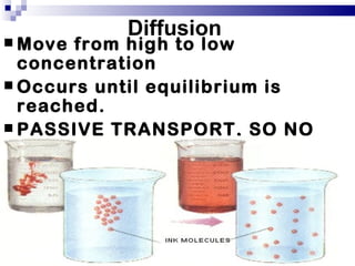Diffusion
 Move from high to low
  concentration
 Occurs until equilibrium is
  reached.
 PASSIVE TRANSPORT, SO NO
  ENERGY REQUIRED FOR
  PARTICLES TO DIFFUSE!!!
 