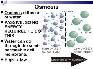 Osmosis
 Osmosis-diffusion
  of water
 PASSIVE, SO NO
  ENERGY
  REQUIRED TO DO
  THIS!
 Water can go
  through the semi-
  permeable cell
  membrane.
 High  low
 