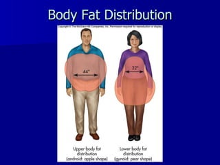 Body Fat Distribution 