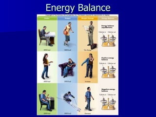 Energy Balance 