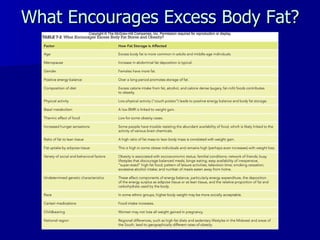What Encourages Excess Body Fat? 