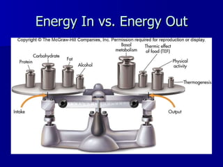 Energy In vs. Energy Out     
