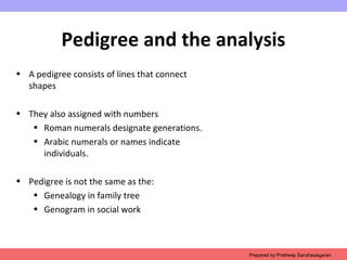 Pedigree and the analysis
• A pedigree consists of lines that connect
shapes
• They also assigned with numbers
• Roman numerals designate generations.
• Arabic numerals or names indicate
individuals.
• Pedigree is not the same as the:
• Genealogy in family tree
• Genogram in social work
Prepared by Pratheep Sandrasaigaran
 