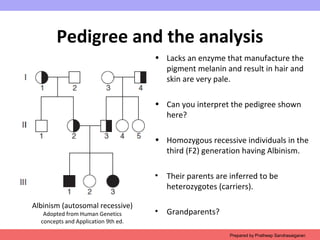 Pedigree and the analysis
• Lacks an enzyme that manufacture the
pigment melanin and result in hair and
skin are very pale.
• Can you interpret the pedigree shown
here?
• Homozygous recessive individuals in the
third (F2) generation having Albinism.
• Their parents are inferred to be
heterozygotes (carriers).
• Grandparents?
Prepared by Pratheep Sandrasaigaran
Albinism (autosomal recessive)
Adopted from Human Genetics
concepts and Application 9th ed.
 