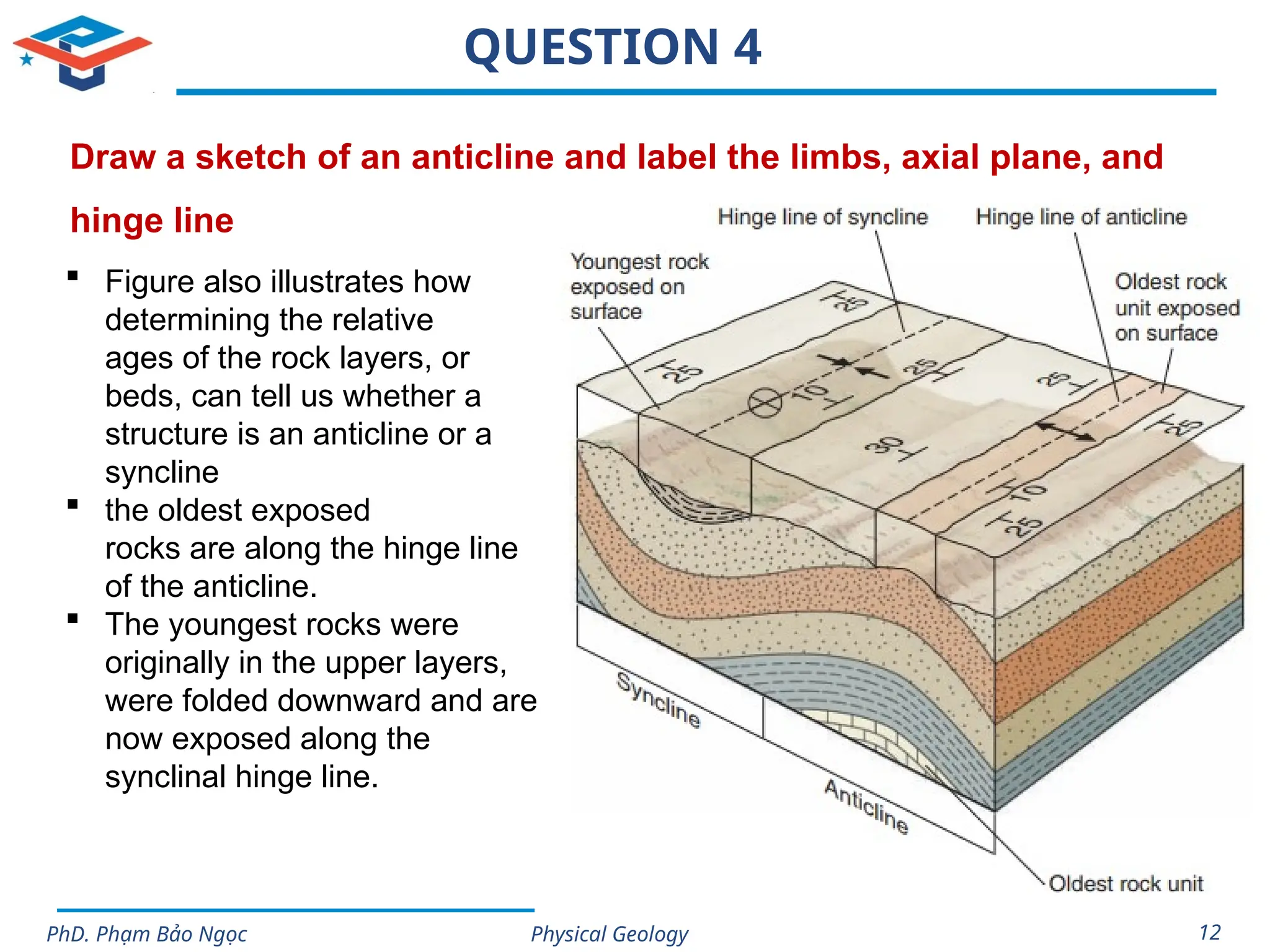 Physical Geology
PhD. Phạm Bảo Ngọc 12
QUESTION 4
Draw a sketch of an anticline and label the limbs, axial plane, and
hinge line
 Figure also illustrates how
determining the relative
ages of the rock layers, or
beds, can tell us whether a
structure is an anticline or a
syncline
 the oldest exposed
rocks are along the hinge line
of the anticline.
 The youngest rocks were
originally in the upper layers,
were folded downward and are
now exposed along the
synclinal hinge line.
 