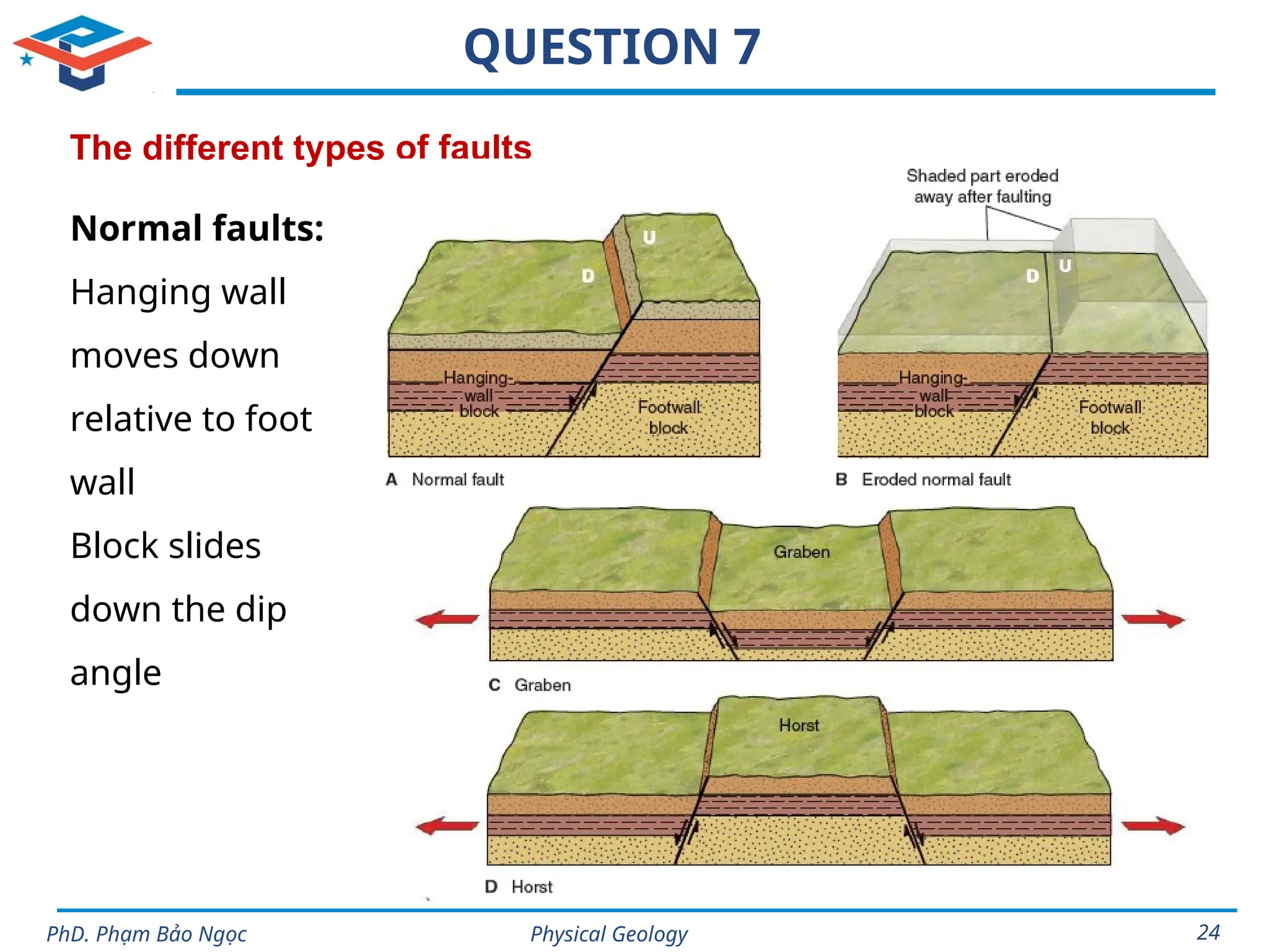Physical Geology
PhD. Phạm Bảo Ngọc 24
QUESTION 7
The different types of faults
Normal faults:
Hanging wall
moves down
relative to foot
wall
Block slides
down the dip
angle
 
