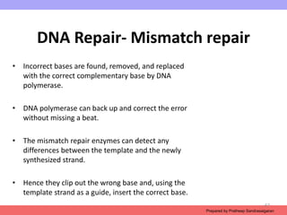Ch7_Mutation- types and its effects.ppt