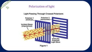 Polarization of light
 