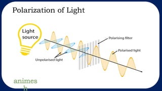 Polarization of Light
 