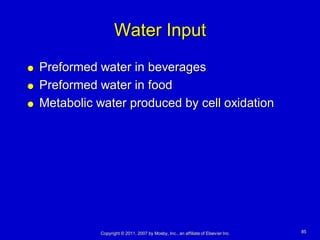 Water Input
   Preformed water in beverages
   Preformed water in food
   Metabolic water produced by cell oxidation




              Copyright © 2011, 2007 by Mosby, Inc., an affiliate of Elsevier Inc.   85
 