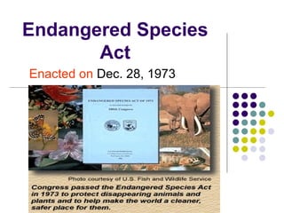 Endangered Species Act Enacted on  Dec. 28, 1973 