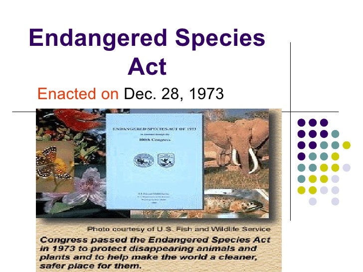 What Does The Endangered Species Act Do