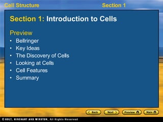 Section 1:  Introduction to Cells ,[object Object],[object Object],[object Object],[object Object],[object Object],[object Object],[object Object]