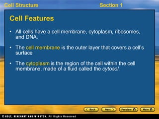 Cell Features <ul><li>All cells have a cell membrane, cytoplasm, ribosomes, and DNA. </li></ul><ul><li>The  cell membrane ...