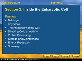 Section 2:  Inside the Eukaryotic Cell ,[object Object],[object Object],[object Object],[object Object],[object Object],[object Object],[object Object],[object Object],[object Object]