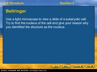 Bellringer <ul><li>Use a light microscope to view a slide of a eukaryotic cell. Try to find the nucleus of the cell and gi...