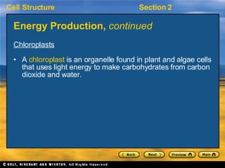 Energy Production,  continued <ul><li>Chloroplasts </li></ul><ul><li>A  chloroplast  is an organelle found in plant and al...