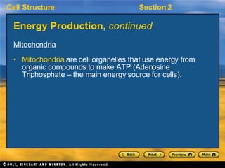 Energy Production,  continued <ul><li>Mitochondria </li></ul><ul><li>Mitochondria  are cell organelles that use energy fro...