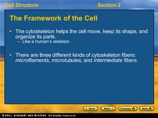 The Framework of the Cell <ul><li>The cytoskeleton helps the cell move, keep its shape, and organize its parts. </li></ul>...