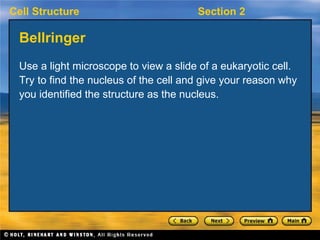 ch7_sec2.ppt Holt Biology chapter 7 section 2 | PPT