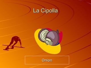 La Cipolla Onion 