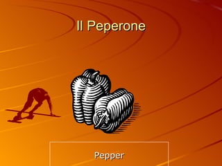 Il Peperone Pepper 