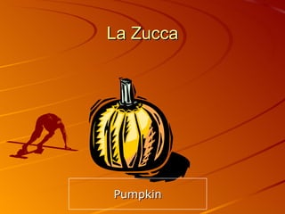 La Zucca Pumpkin 