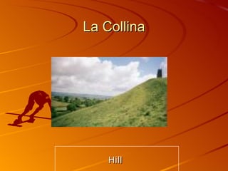 La Collina Hill  