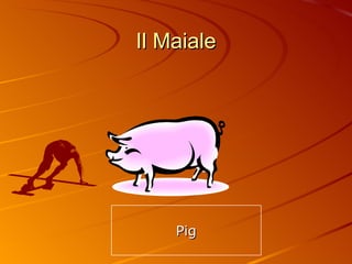 Il Maiale Pig 