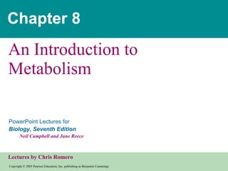 Chapter 8 An Introduction to Metabolism 