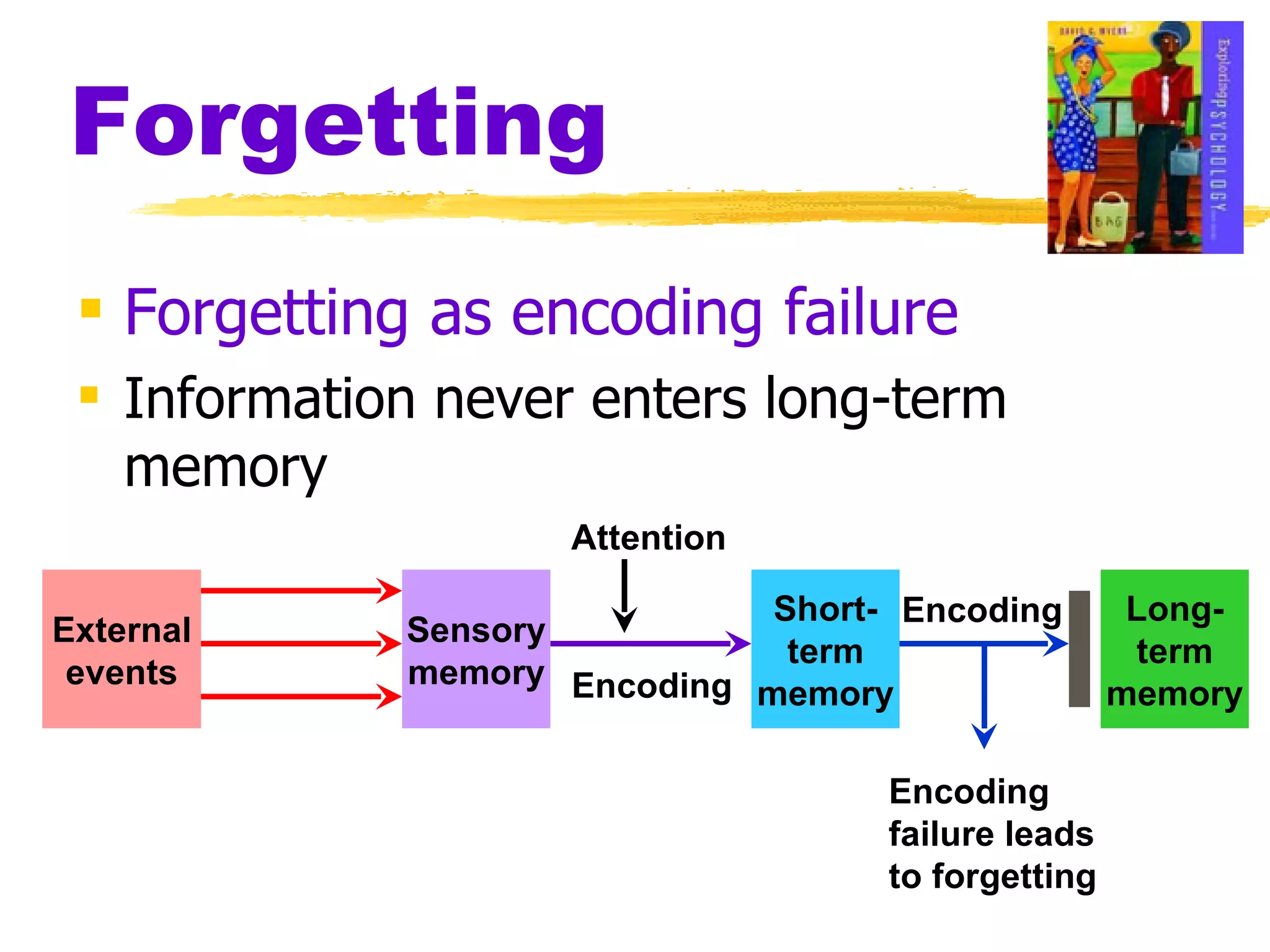Forgetting Forgetting as encoding failure Information never enters long-term memory  External events Sensory memory Short- term memory Long- term memory Attention Encoding Encoding Encoding failure leads to forgetting 