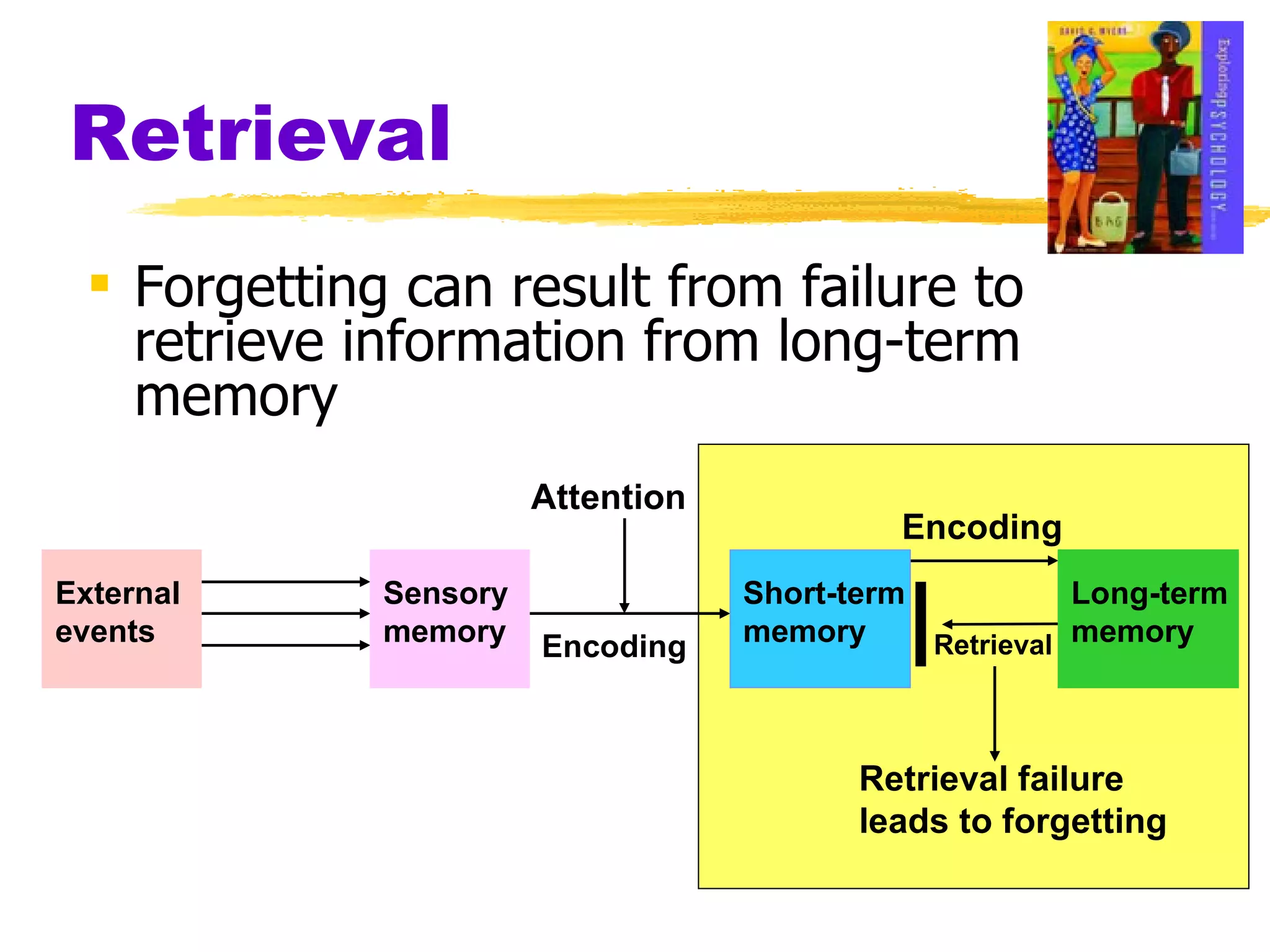Retrieval Forgetting can result from failure to retrieve information from long-term memory External events Attention Encoding Encoding Retrieval failure leads to forgetting Retrieval Sensory memory Short-term memory Long-term memory 