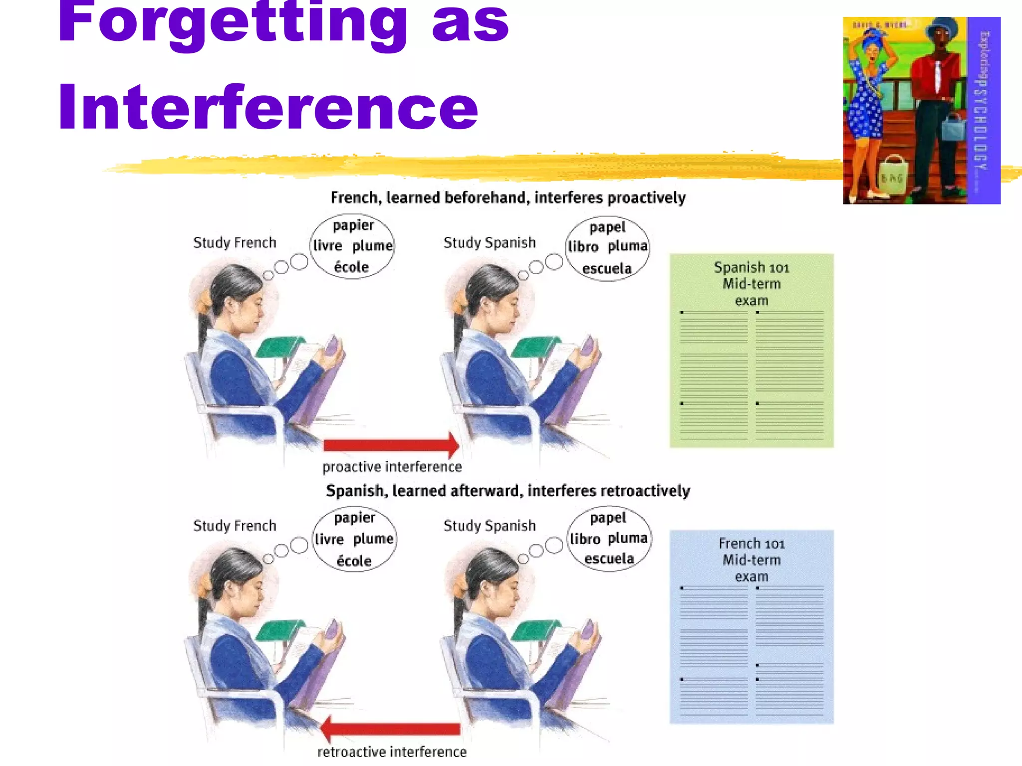Forgetting as Interference 
