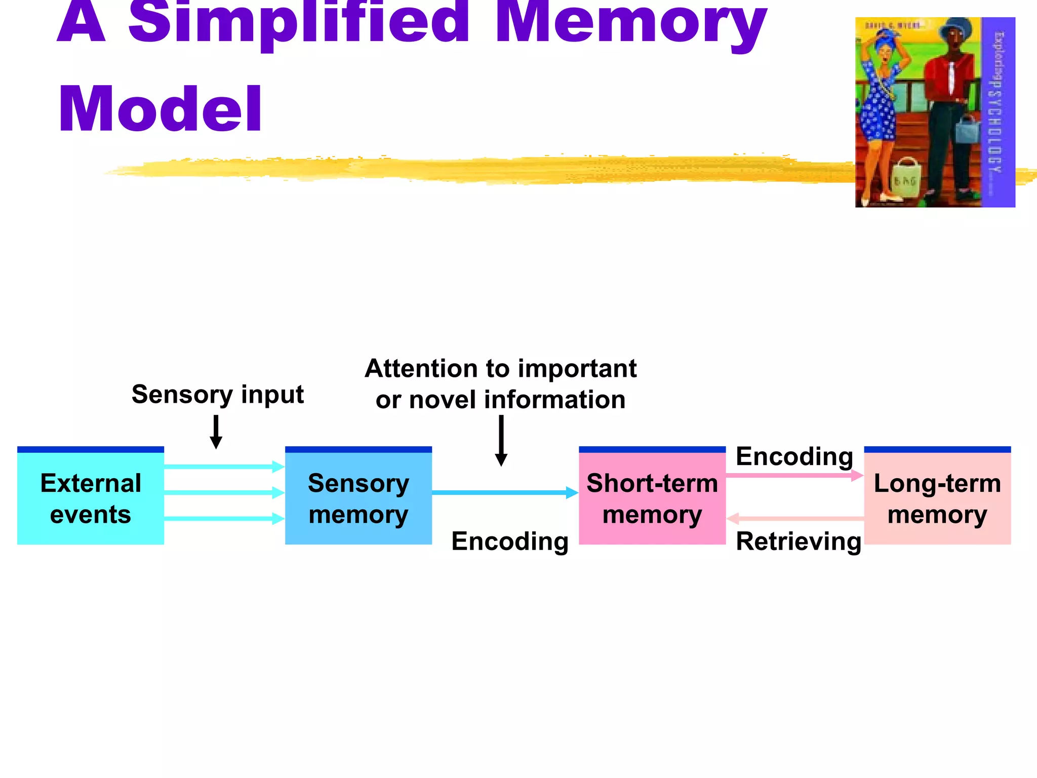 A Simplified Memory Model External events Sensory memory Short-term memory Long-term memory Sensory input Attention to important or novel information Encoding Encoding Retrieving 