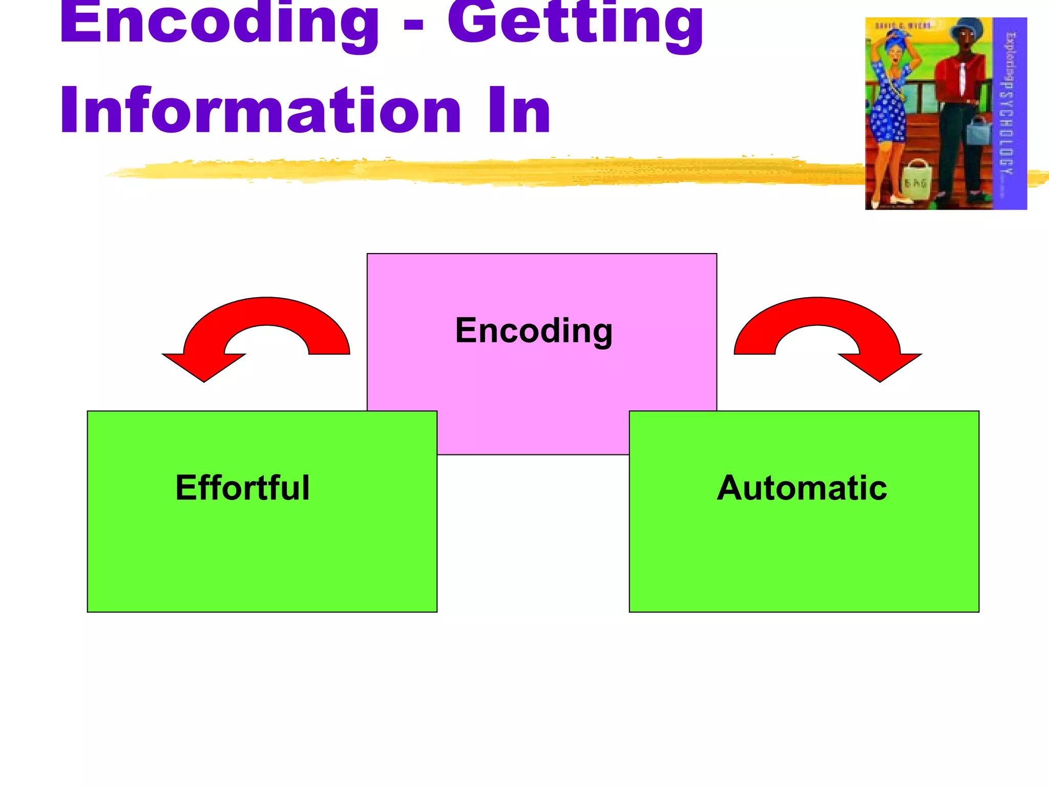 Encoding - Getting Information In Encoding Effortful Automatic 